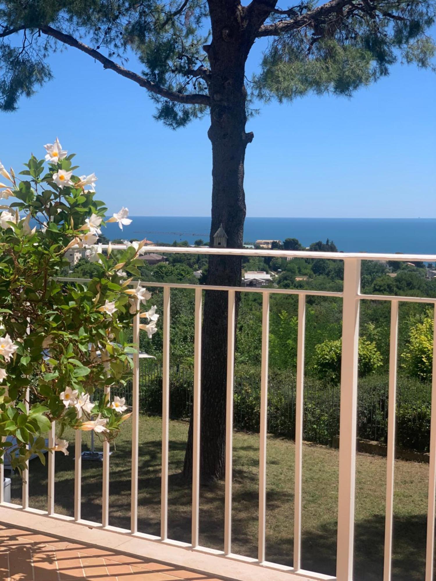 Tra Gli Alberi E Il Mare Bed and Breakfast Sirolo Eksteriør billede