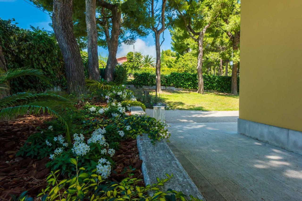 Tra Gli Alberi E Il Mare Bed and Breakfast Sirolo Eksteriør billede
